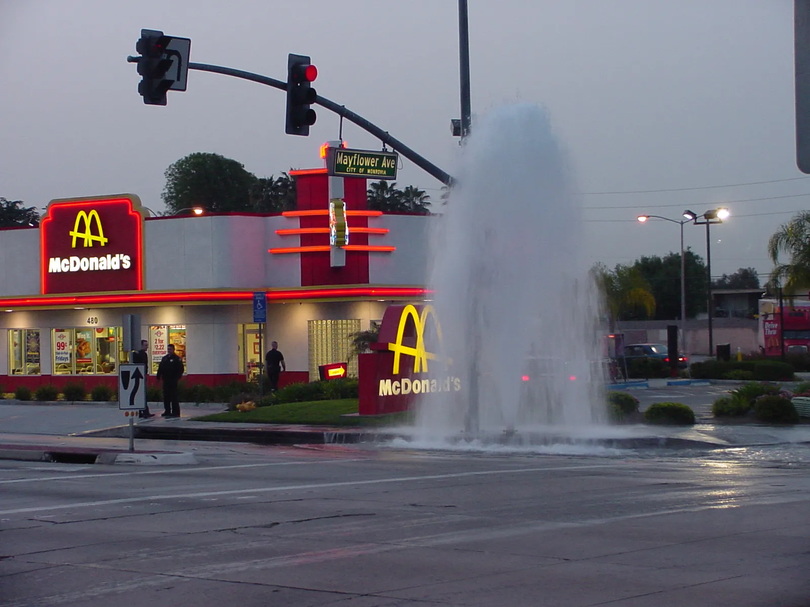 Monrovia Geyser 1 Flickr RBerteig, Monrovia, California, United States