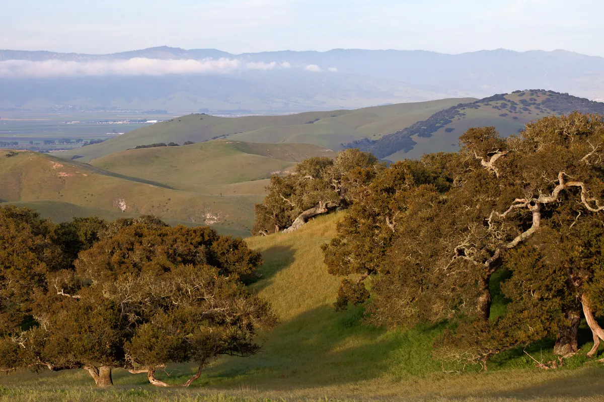 Fort Ord National Monument, Seaside, California, United States