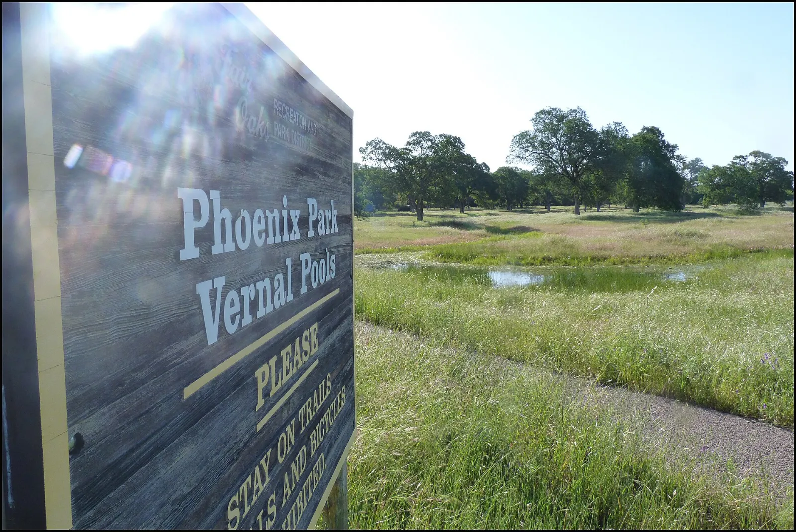Phoenix Park Vernal Pools, Fair Oaks, California, United States
