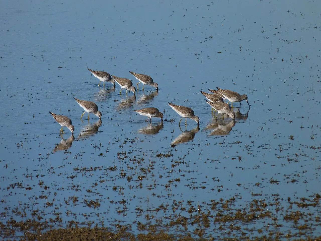 Black Point Wildlife Drive, Titusville, Florida, United States