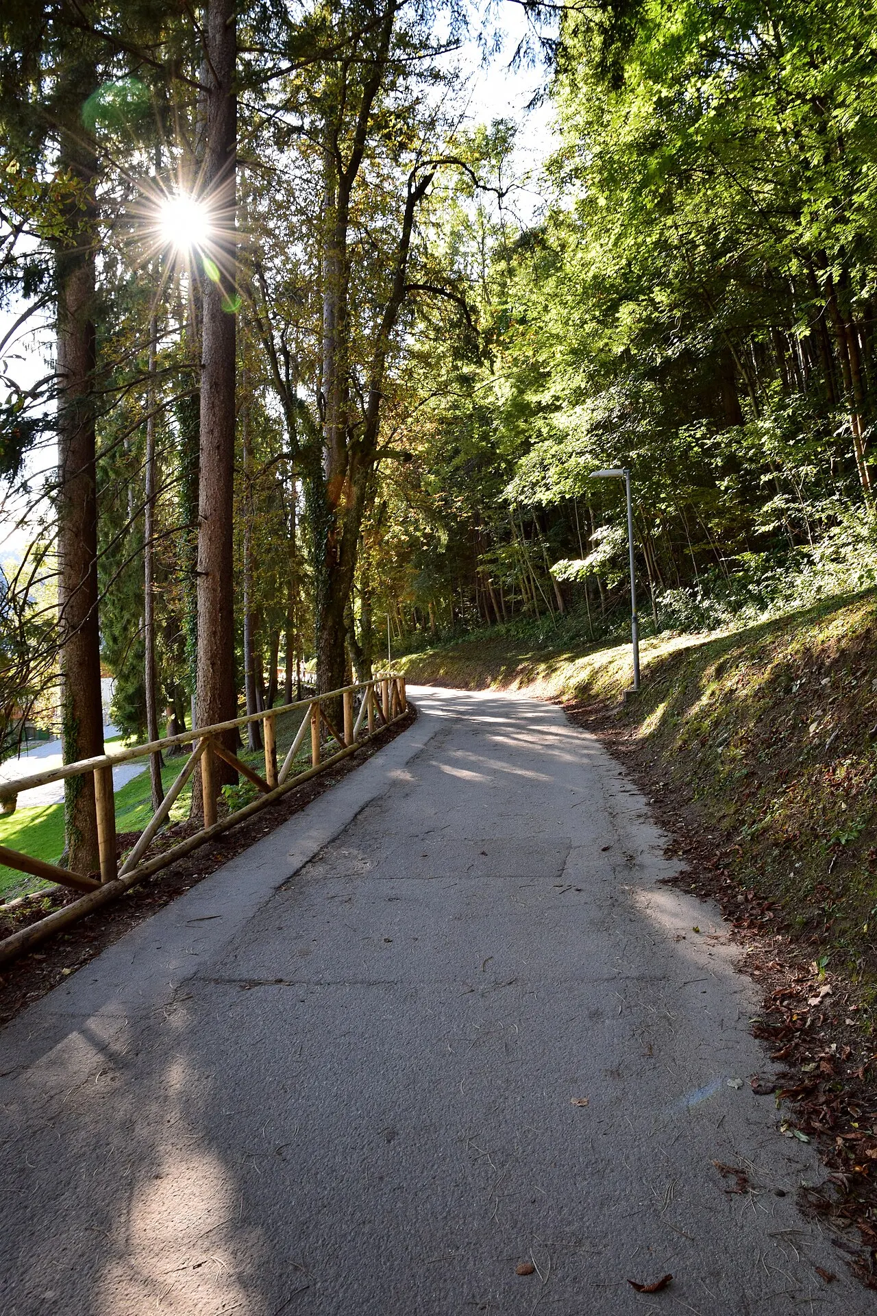 Lake Bled lakeside path, Lake Bled, Slovenia
