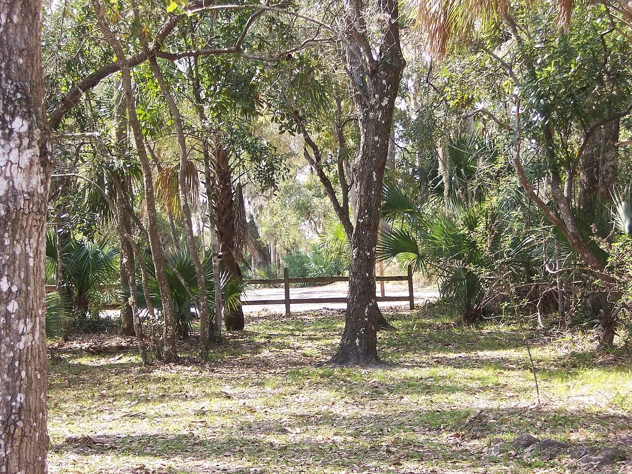Tomoka State Park, Ormond Beach, Florida, United States
