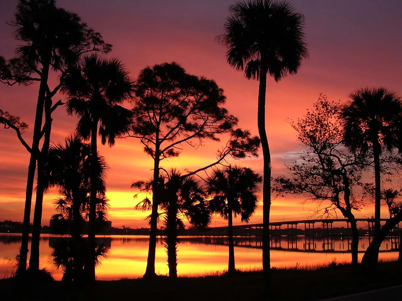 Ormond Scenic Loop and Trail, Ormond Beach, Florida, United States