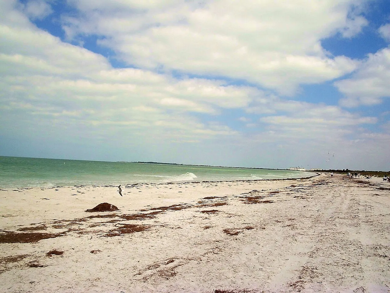 Caladesi Island State Park, Dunedin, Florida, United States