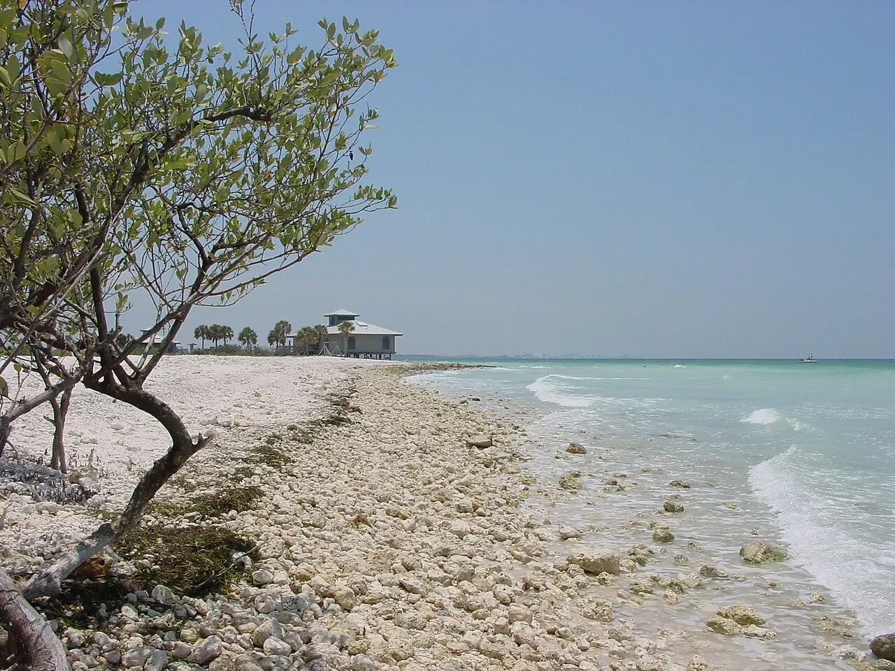 Honeymoon Island State Park, Dunedin, Florida, United States