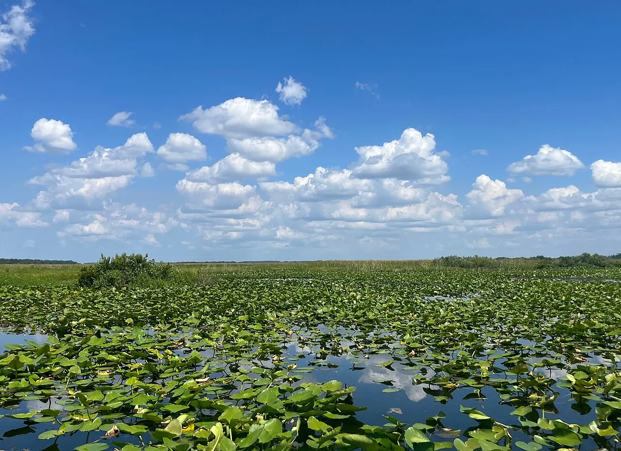 East Lake Tohopekaliga, Saint Cloud, Florida, United States