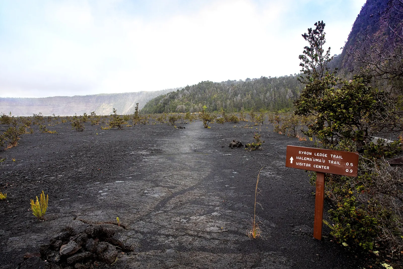 Kilauea Iki Trail, Hawaii Volcanoes National Park, Hawaii, United States