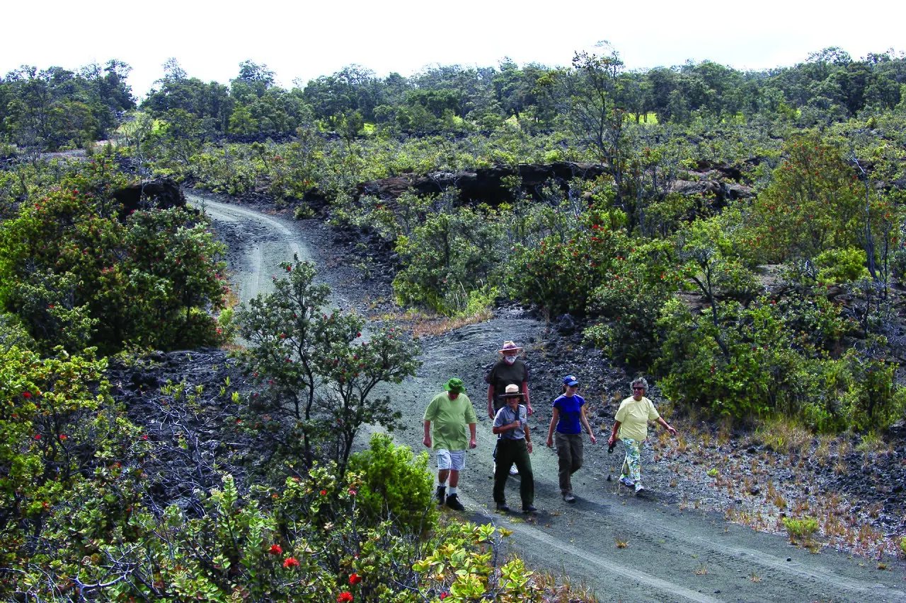 Kahuku Unit, Hawaii Volcanoes National Park, Hawaii, United States
