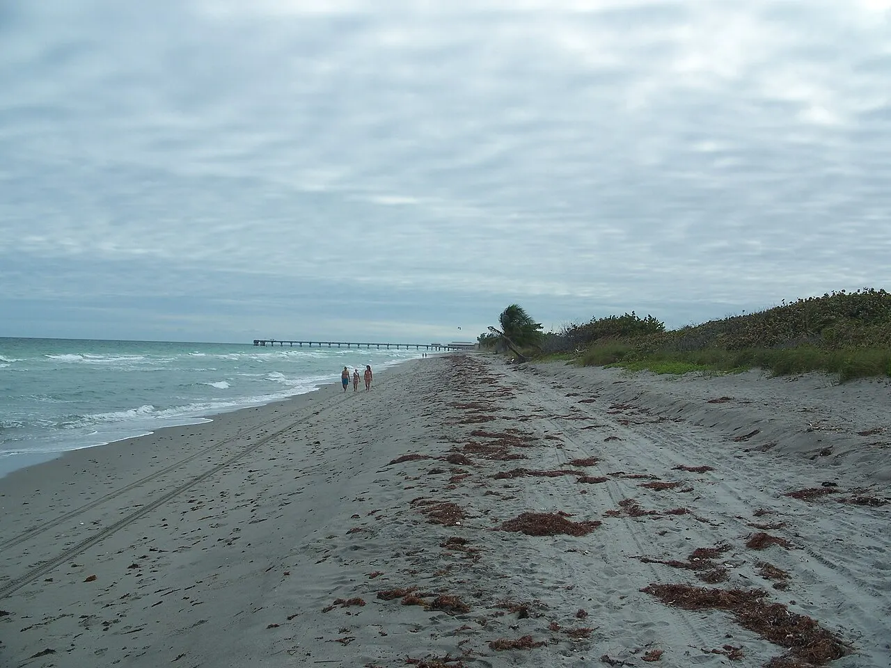 Dr. Von D. Mizell-Eula Johnson State Park, Dania Beach, Florida, United States