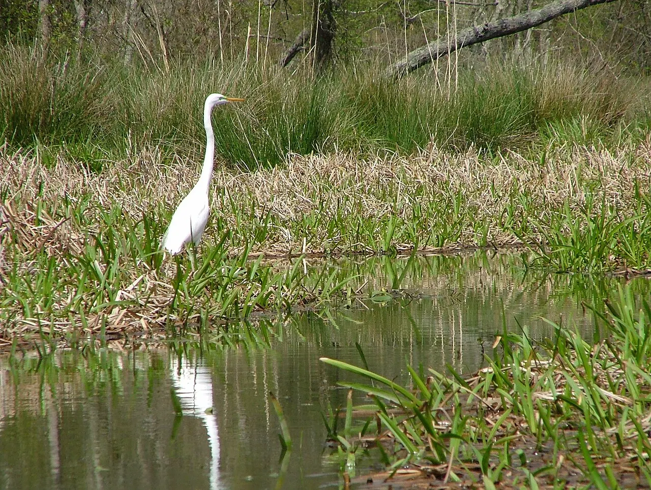 Huntsville State Park, Huntsville, Texas, United States