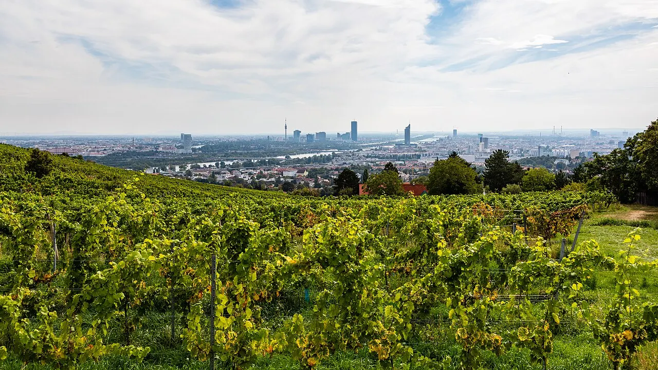 Grinzing and the Vienna Woods, Vienna, Austria