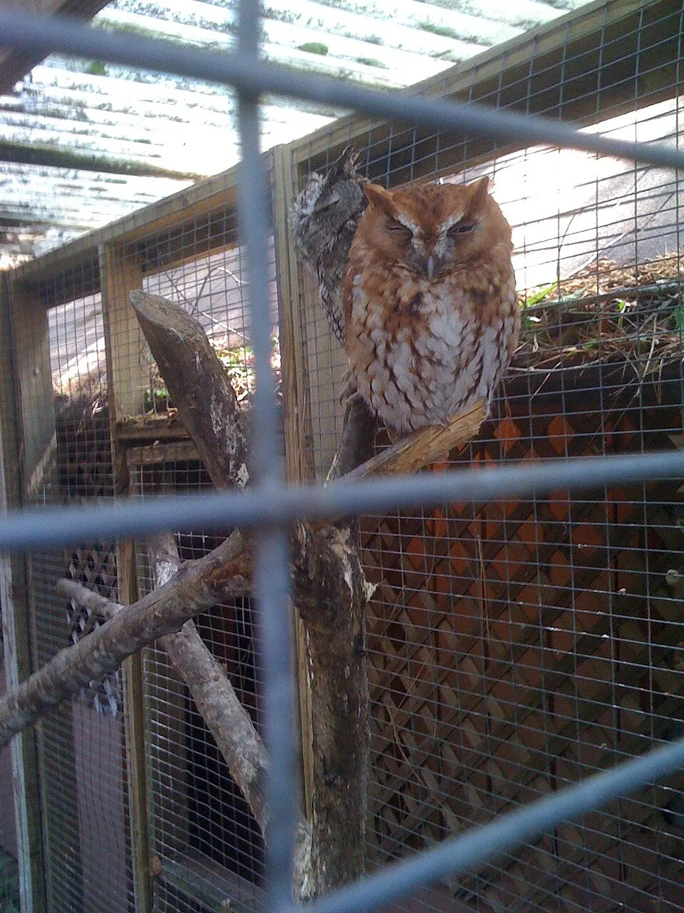Ellen Trout Zoo, Lufkin, Texas, United States