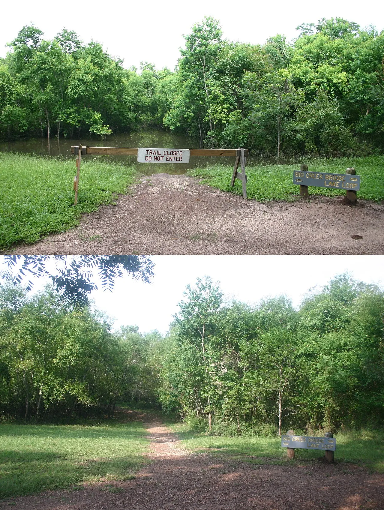 Brazos Bend State Park, Rosenberg, Texas, United States