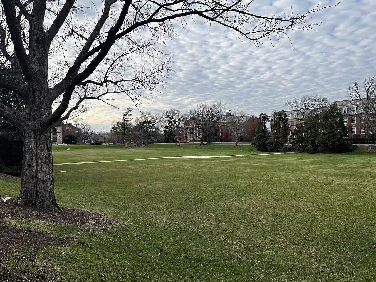 Elmhurst University, Elmhurst, Illinois, United States