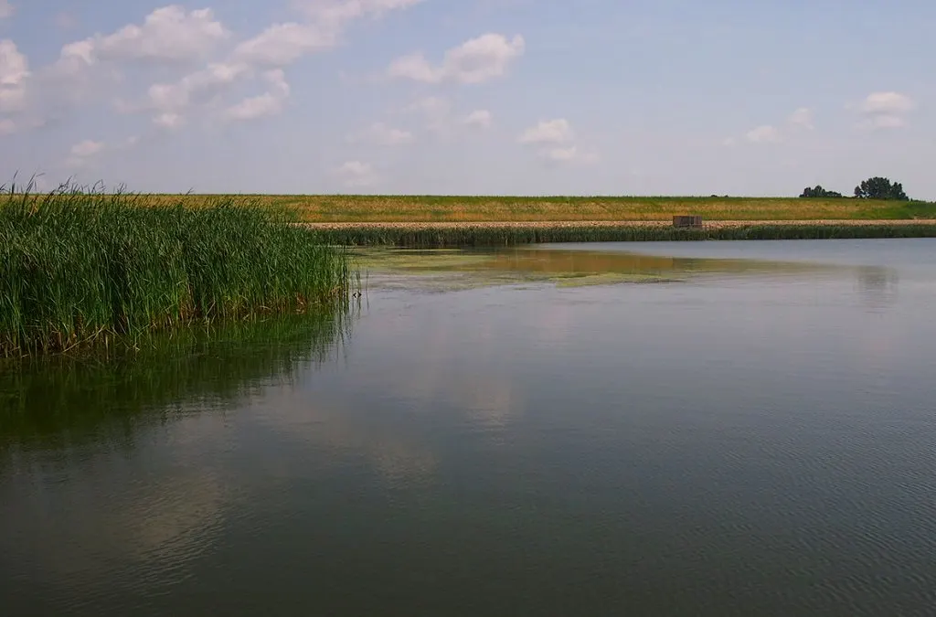 Lake Renwick Heron Rookery Nature Preserve, Plainfield, Illinois, United States