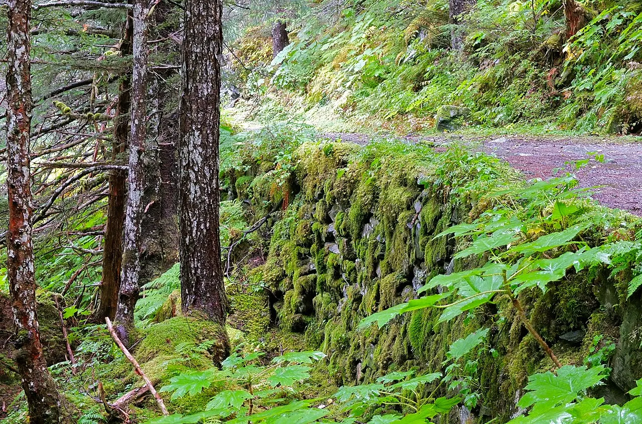 Perseverance Trail, Juneau, Alaska, United States