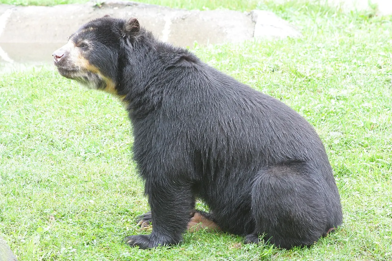 Ross Park Zoo, Binghamton, New York, United States