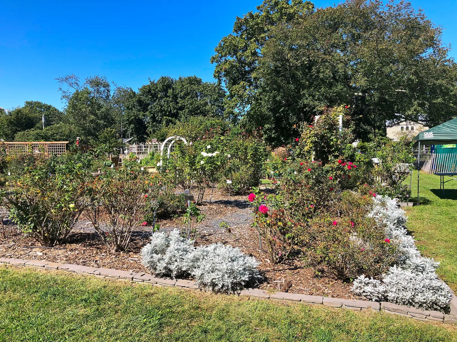 East Meadow Farm Flowers, East Meadow, New York, United States
