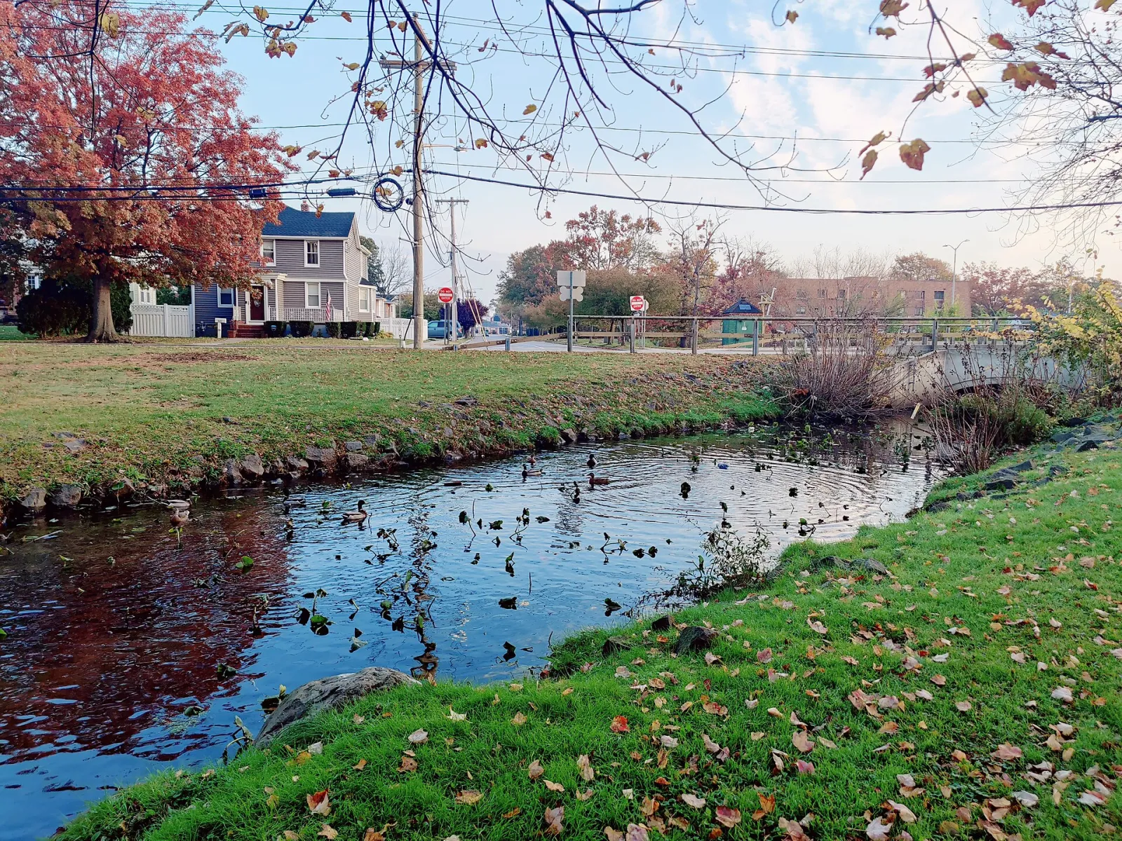 Valley stream park, Valley Stream, New York, United States