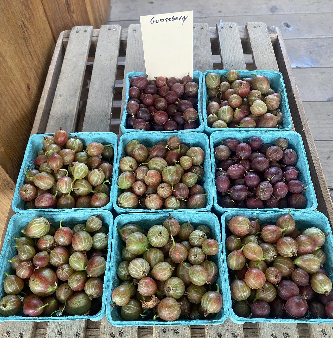 Ithaca Farmers Market, Ithaca, New York, United States