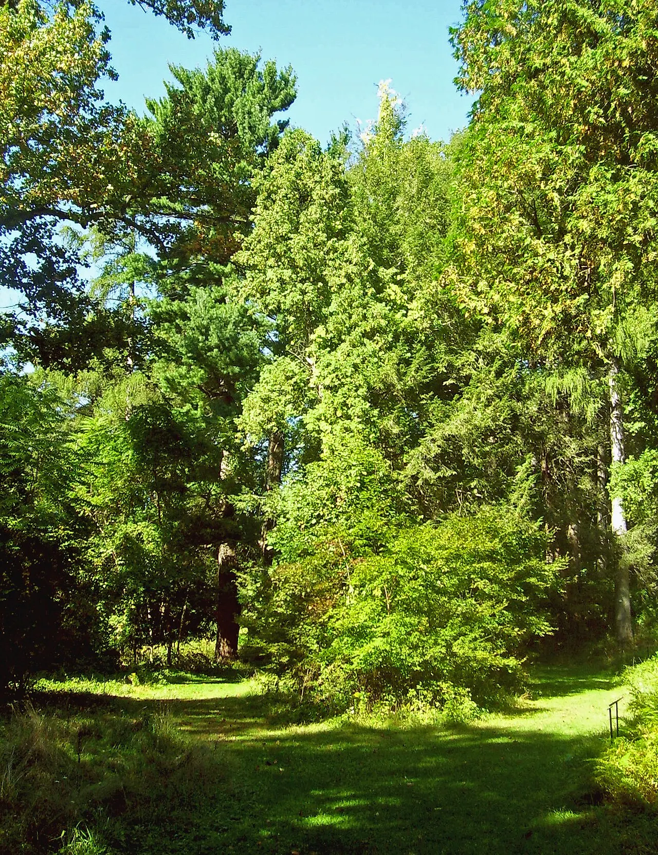 Springside Landscape, Poughkeepsie, New York, United States