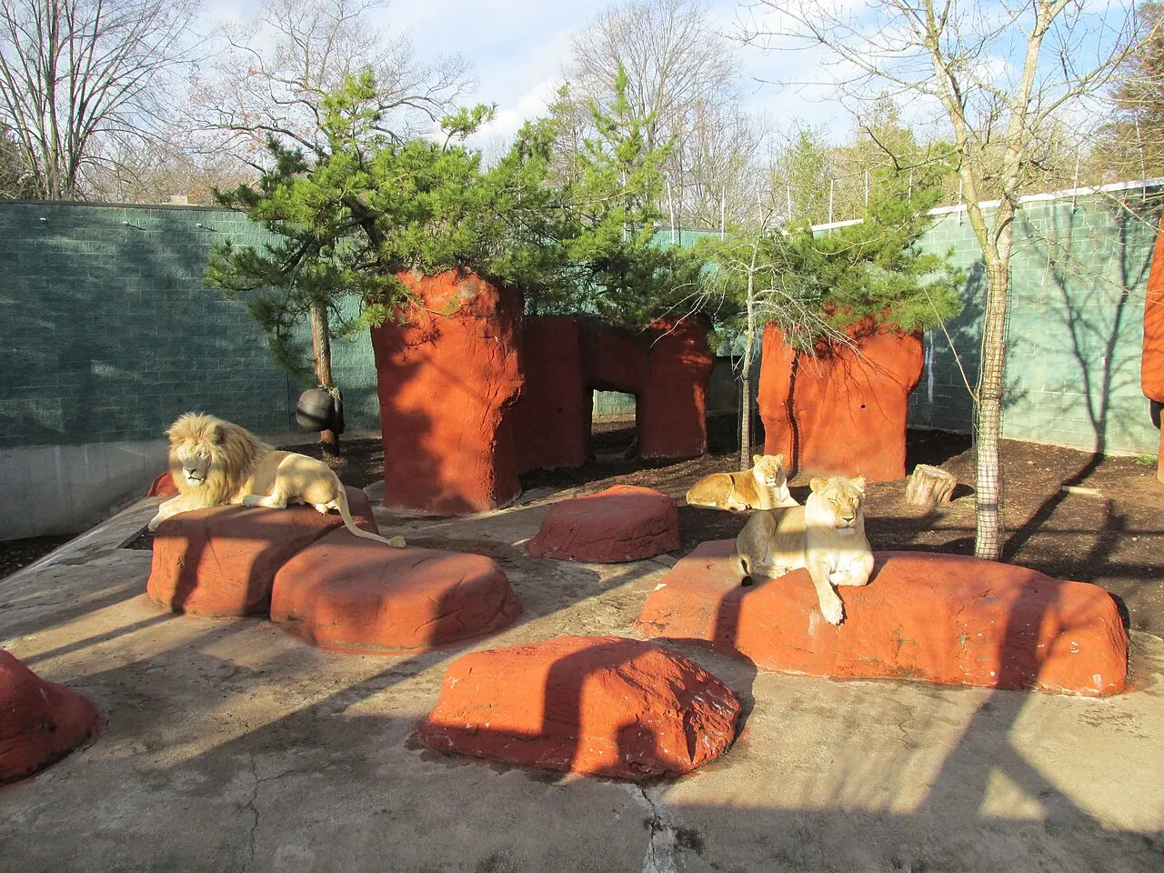 Capron Park Zoo, Attleboro, Massachusetts, United States