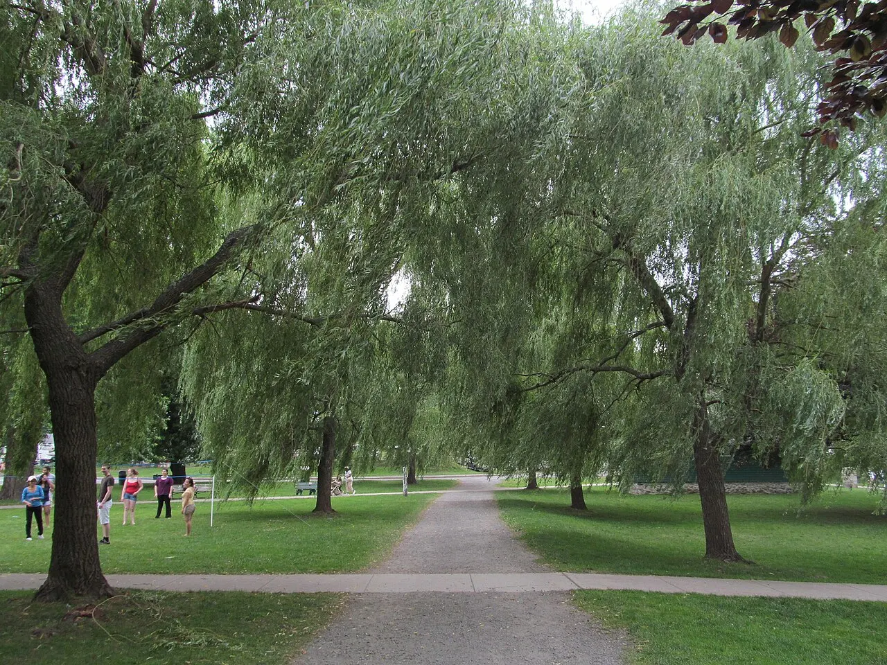 Salem Willows Park, Salem, Massachusetts, United States