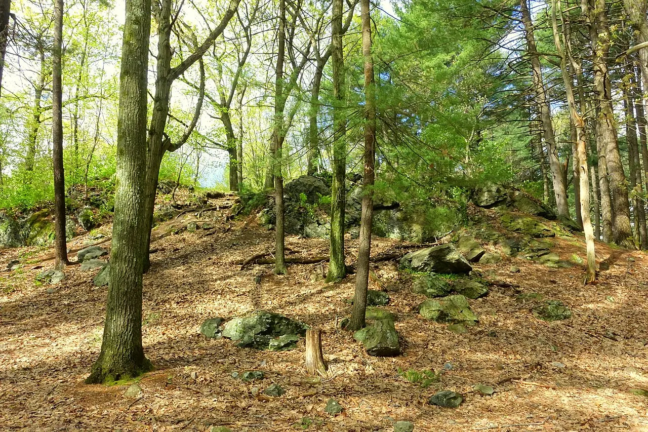 Menotomy Rocks Park, Arlington, Massachusetts, United States
