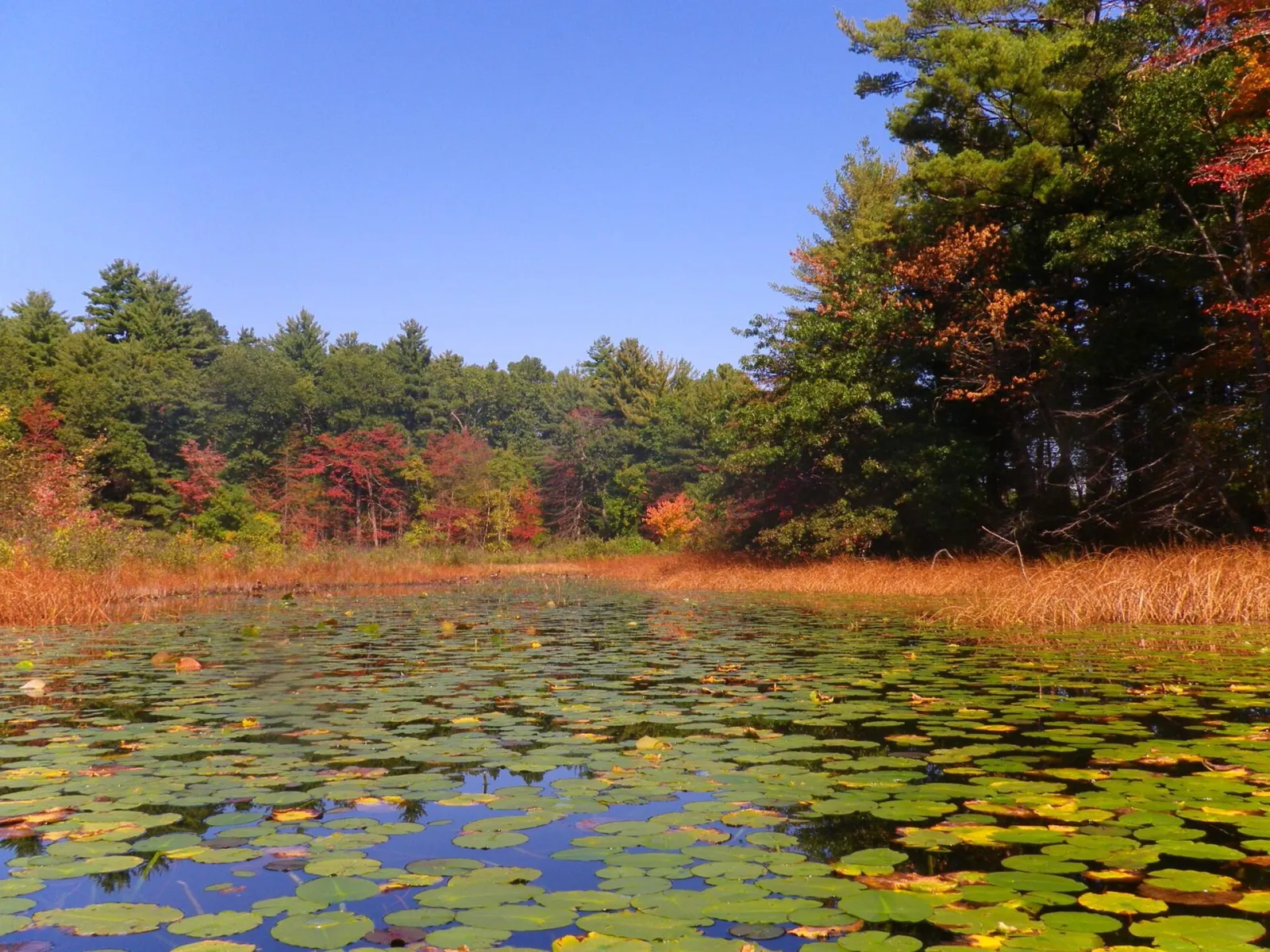Hampton Ponds State Park, Westfield, Massachusetts, United States