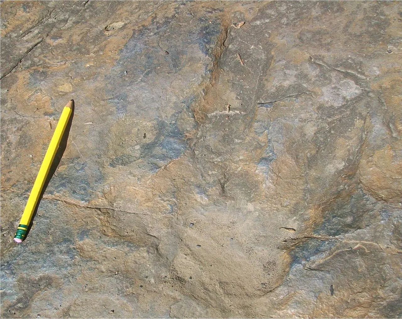 Dinosaur Footprints, Holyoke, Massachusetts, United States