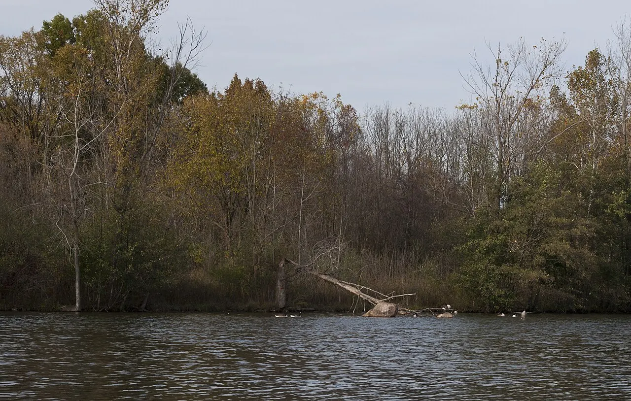 Sharon Woods Metro Park, Westerville, Ohio, United States