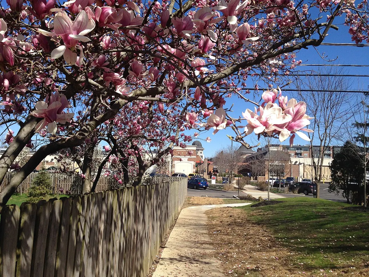 The Shops on Lane Avenue, Upper Arlington, Ohio, United States