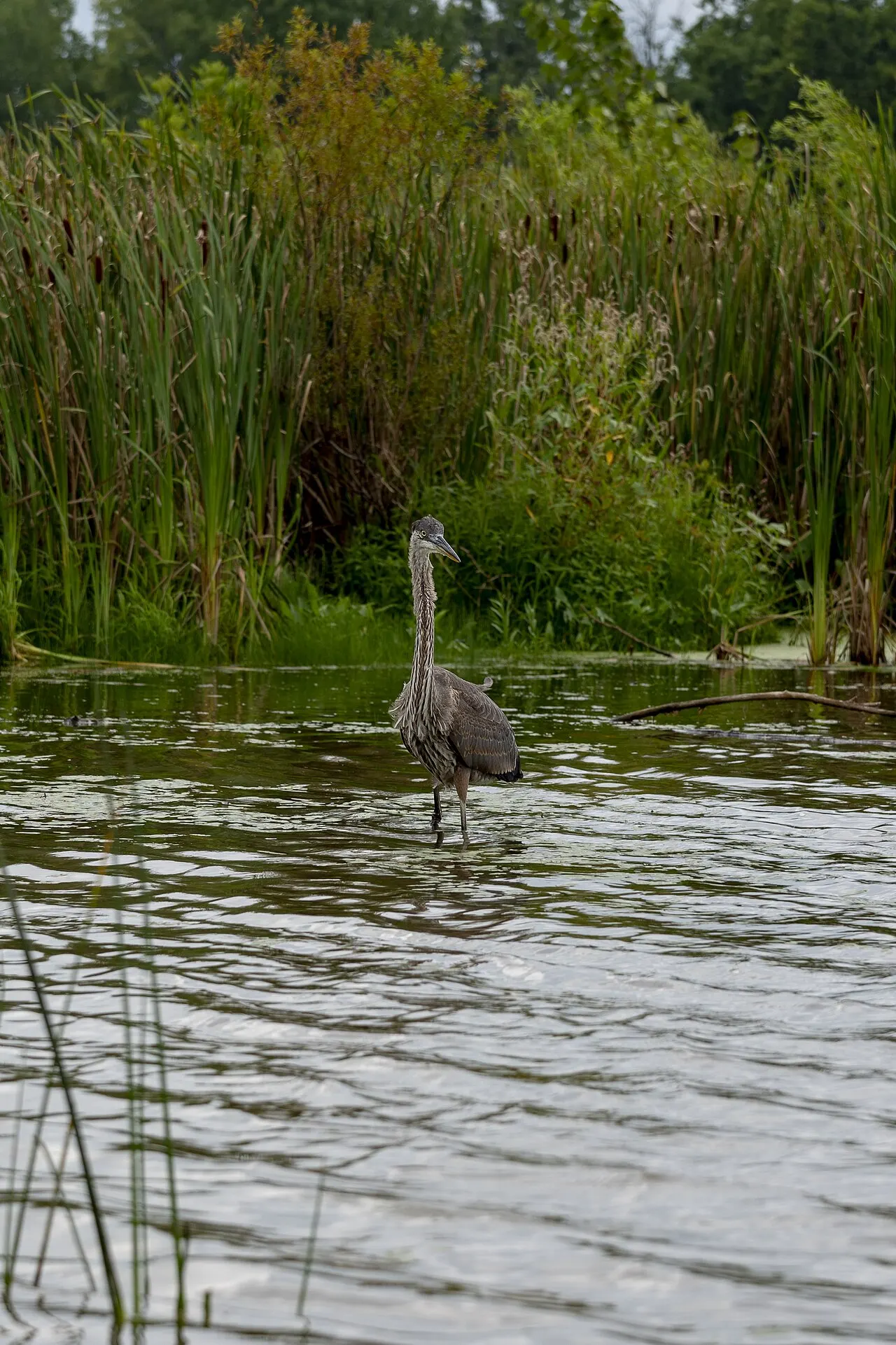 Prairie Oaks Metro Park, Hilliard, Ohio, United States