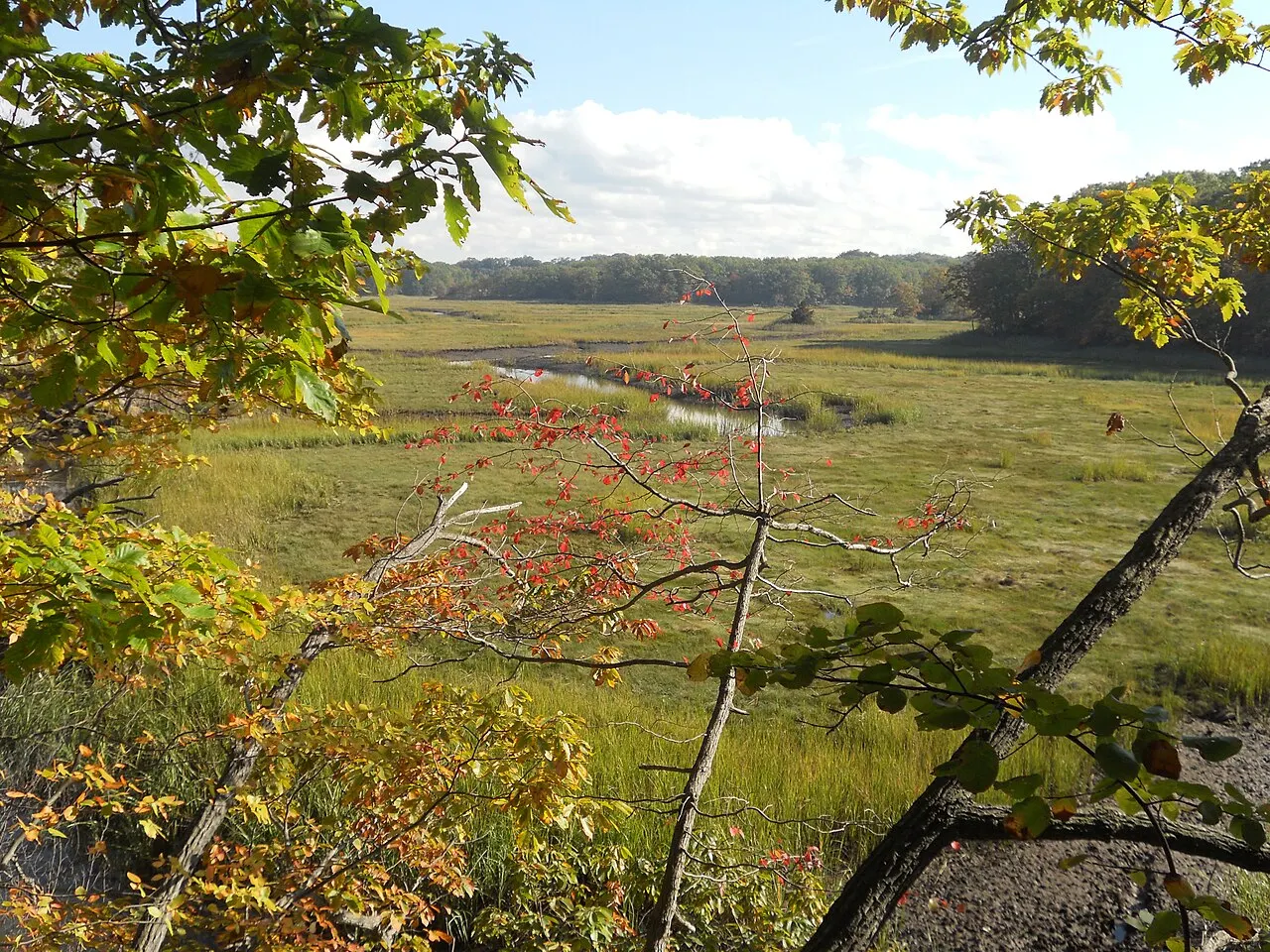 Cheesequake State Park, Sayreville, New Jersey, United States