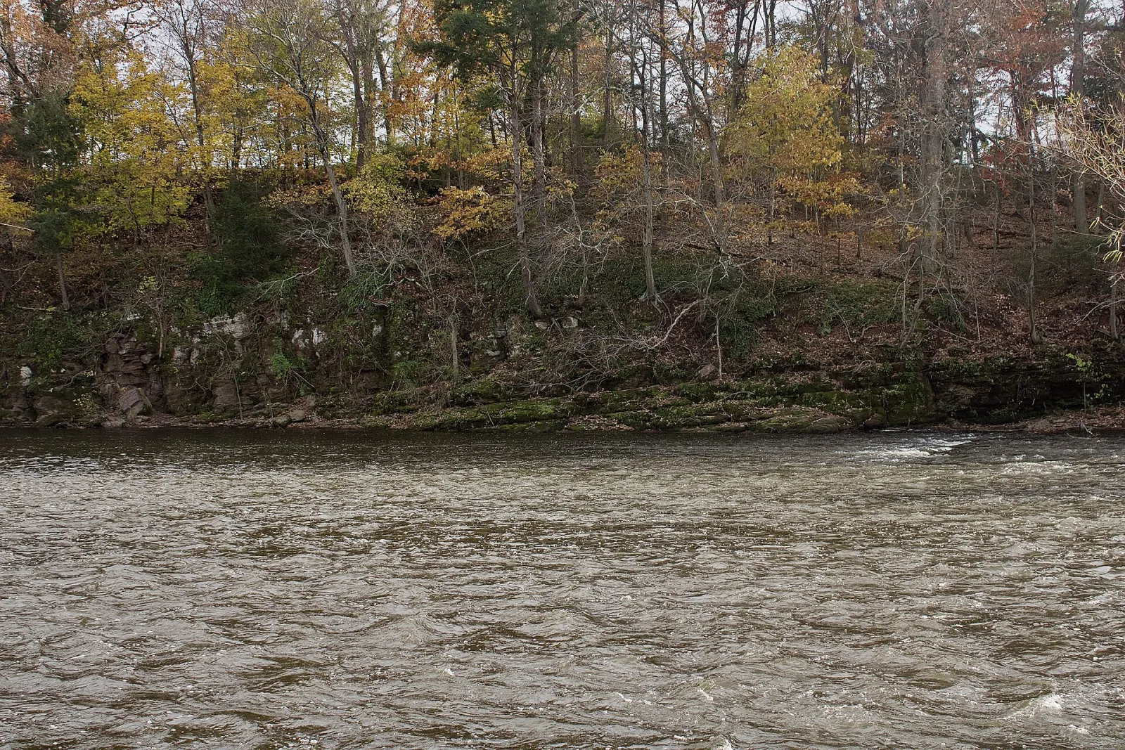 Bridgewater, New Jersey, United States