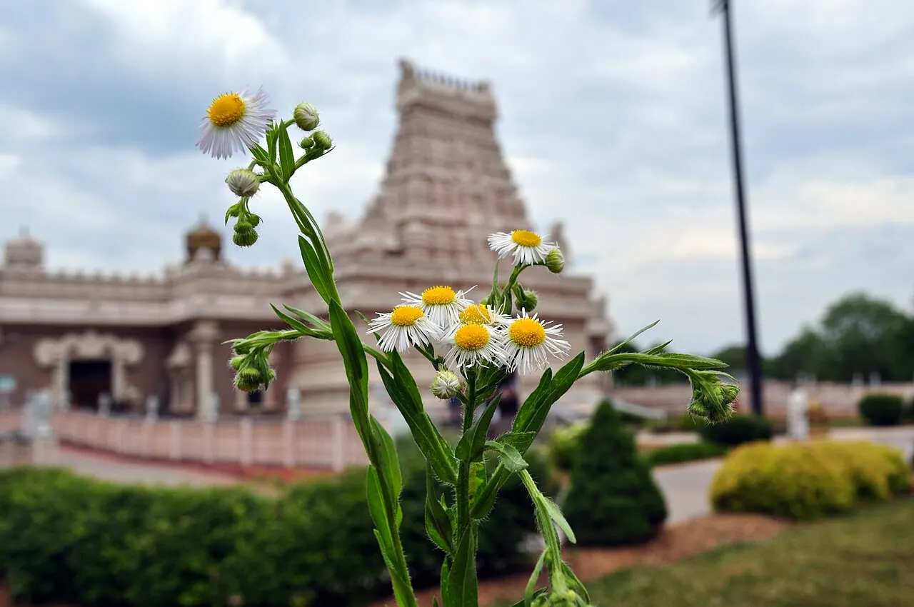 Sri Venkateswara Temple Bridgewater, Bridgewater, New Jersey, United States