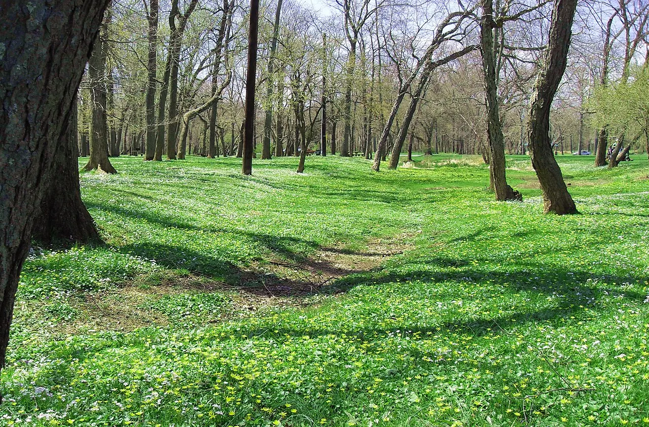 Duke Island Park, Bridgewater, New Jersey, United States