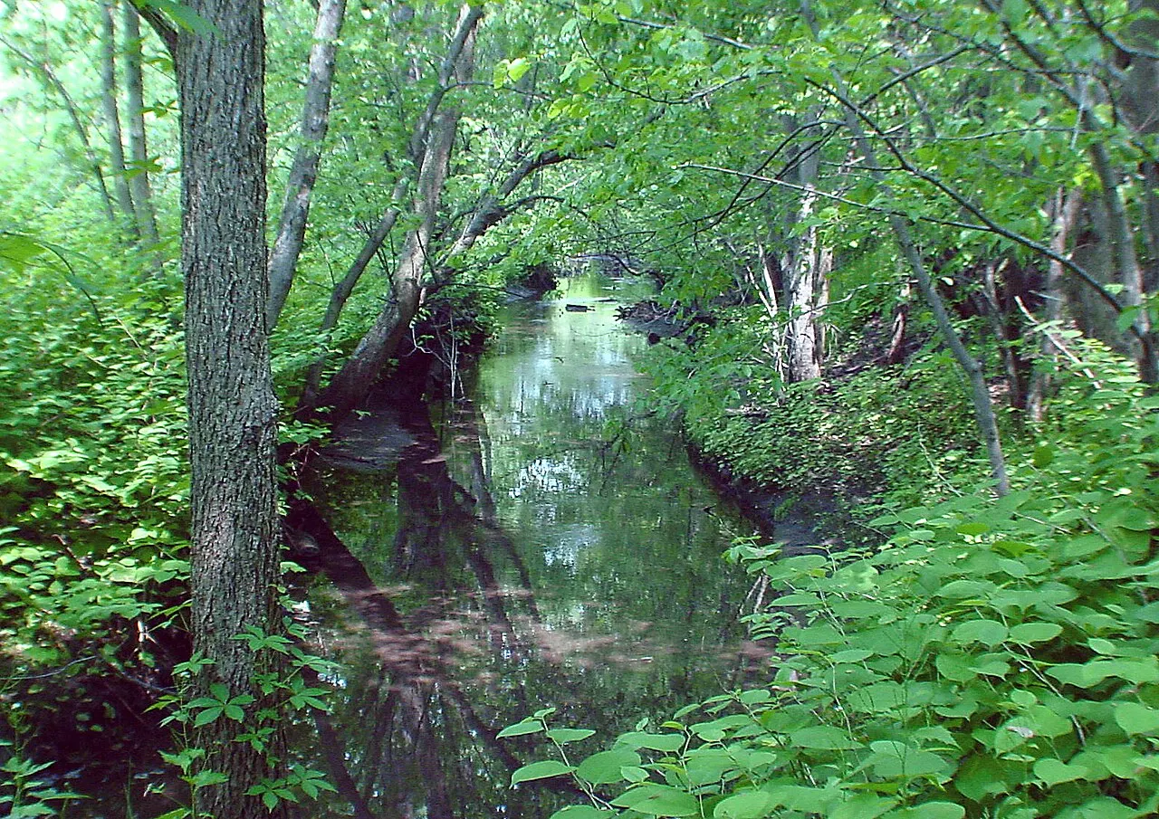 Teaneck Creek Conservancy, Teaneck, New Jersey, United States