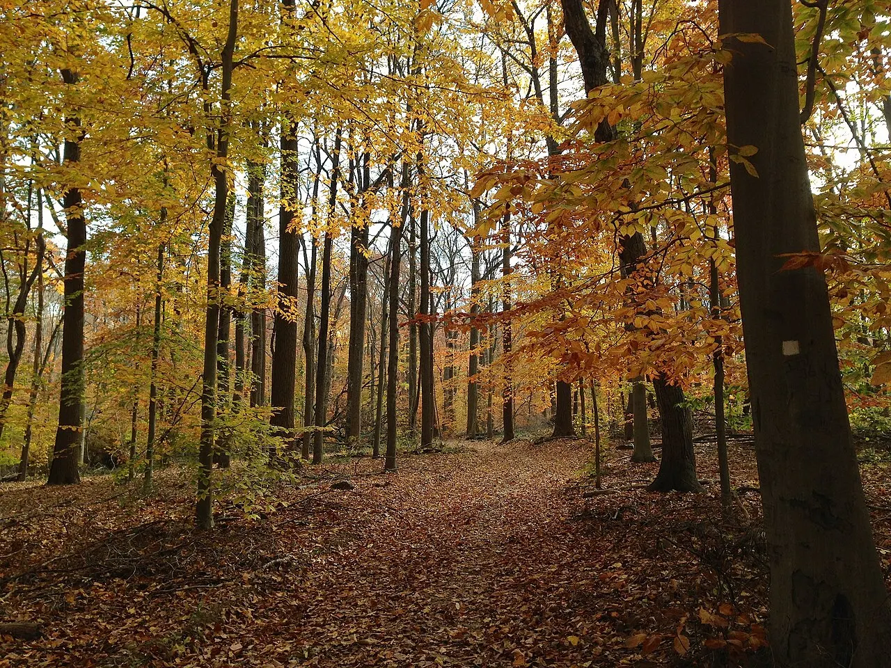 Watchung Reservation, Westfield, New Jersey, United States
