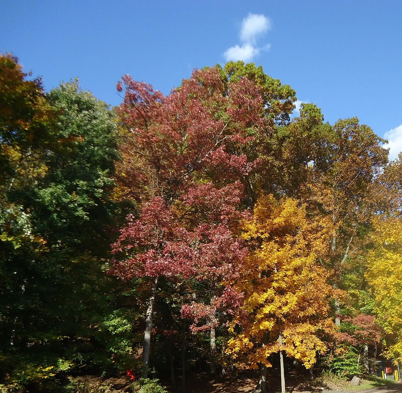 Union County Echo Lake Park, Westfield, New Jersey, United States