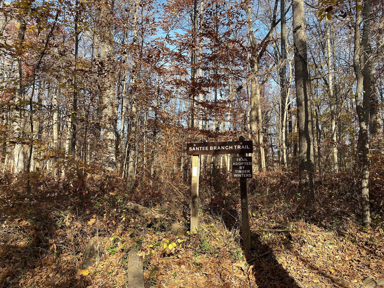 Patapsco Valley State Park Hilton Area, Catonsville, Maryland, United States