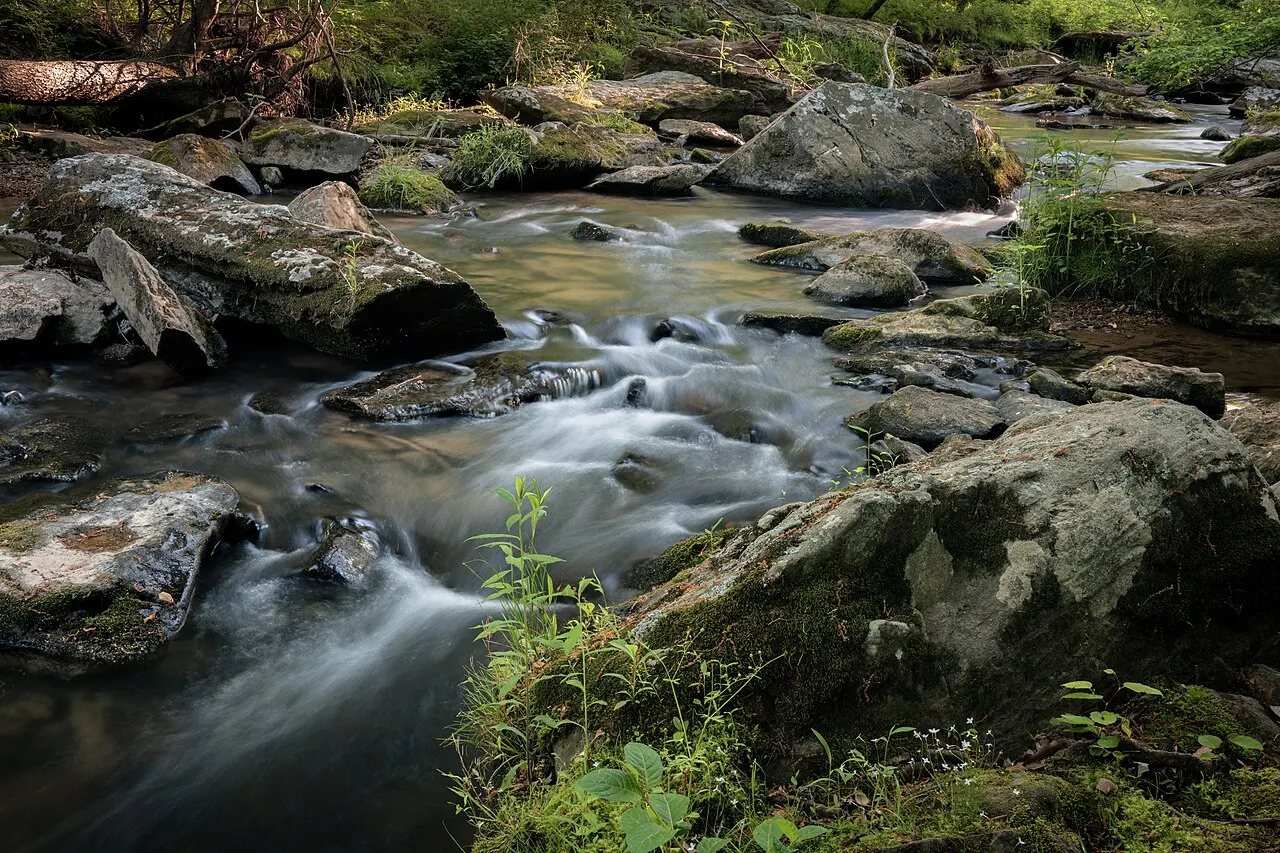 Rachel Carson Conservation Park, Olney, Maryland, United States