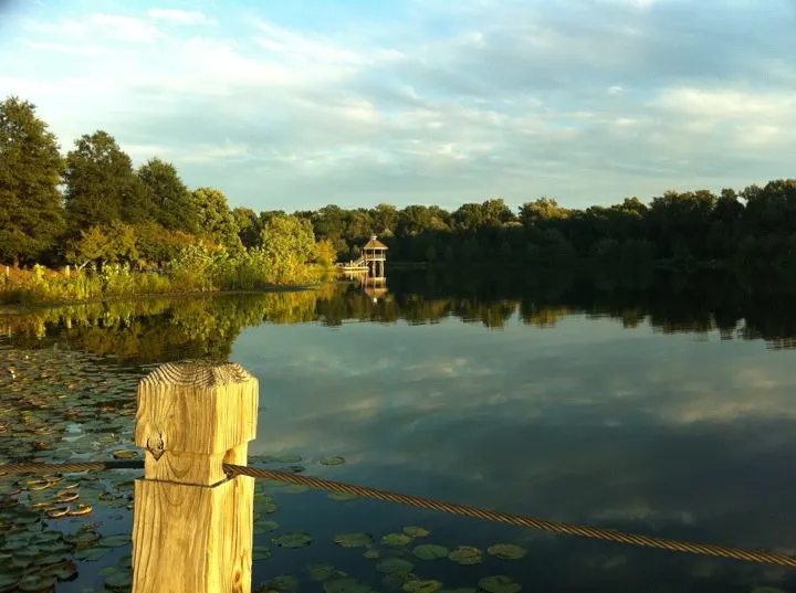Lake Artemesia Natural Area, College Park, Maryland, United States