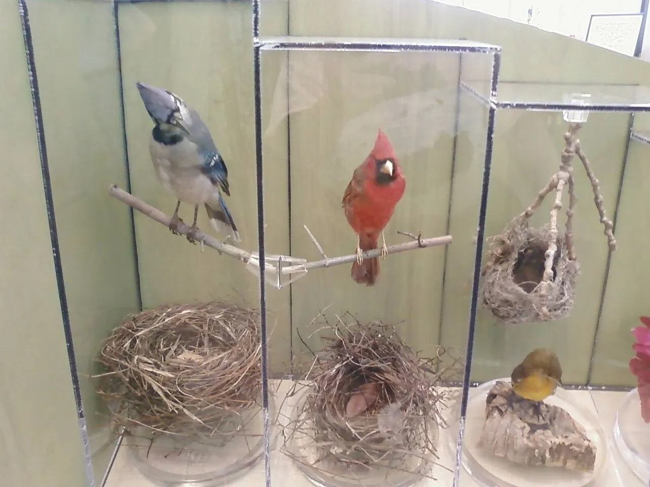 Irvine Nature Center, Owings Mills, Maryland, United States