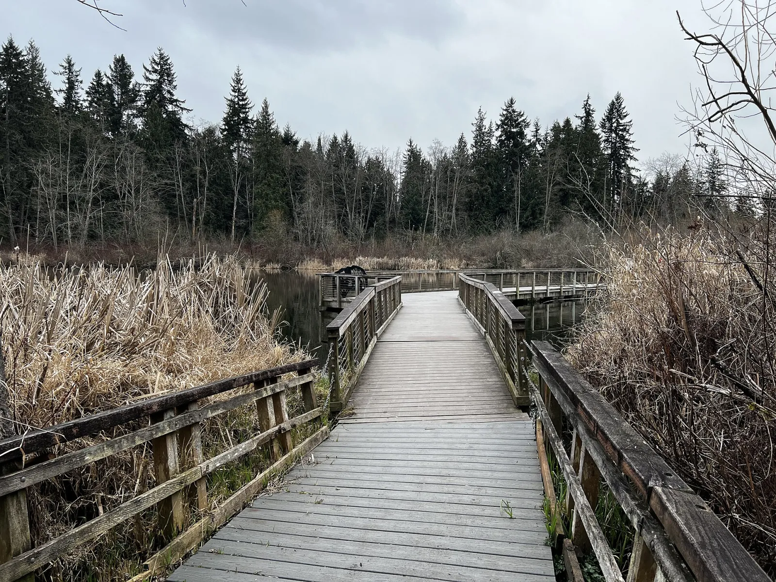 The dock on a winter day in Scriber Lake Park, Lynnwood, Washington, United States