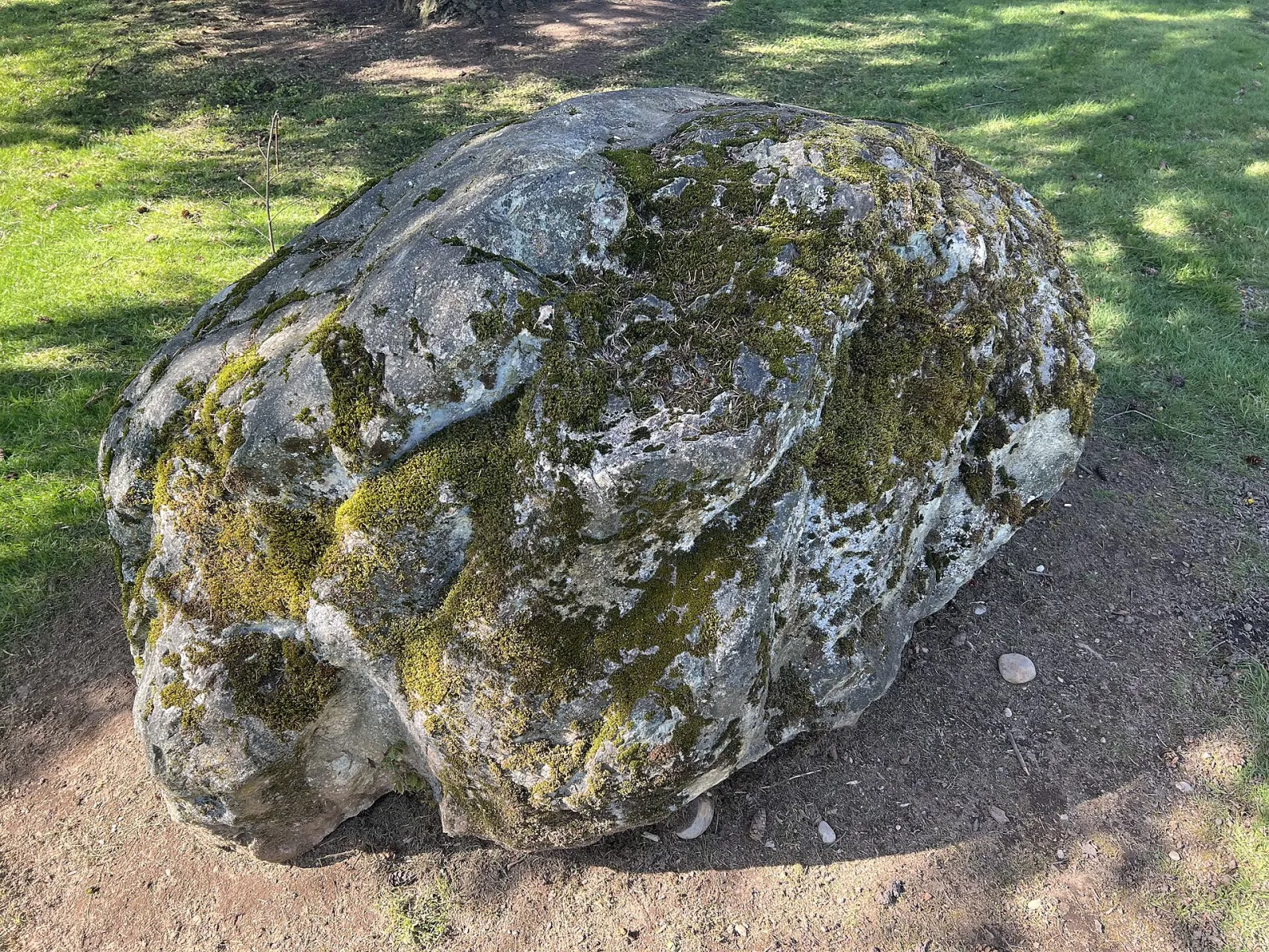 Boulder in Scriber Creek Park, Lynnwood, Washington, United States