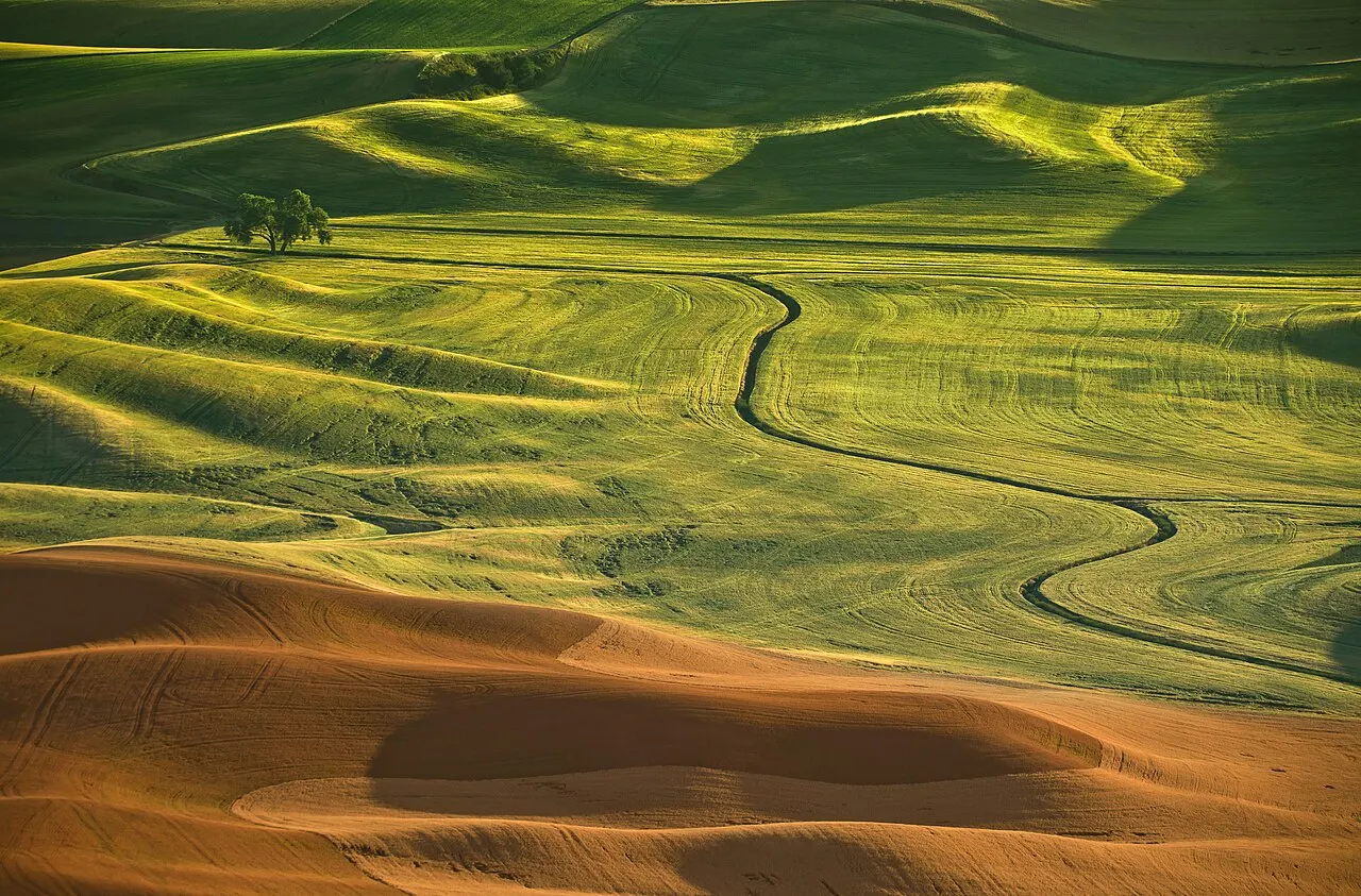 Steptoe Butte State Park, Pullman, Washington, United States