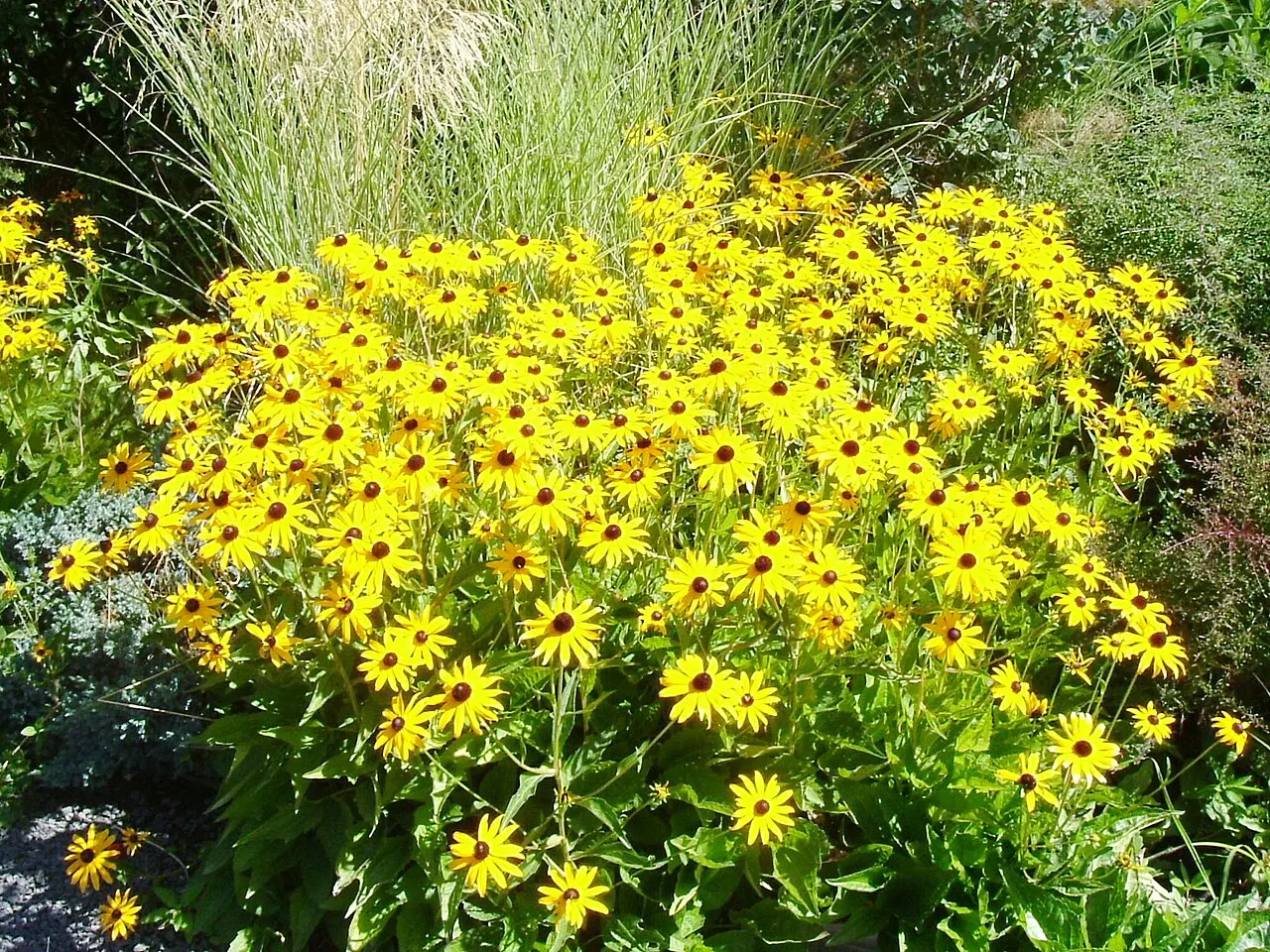 Lawson Gardens, Pullman, Washington, United States