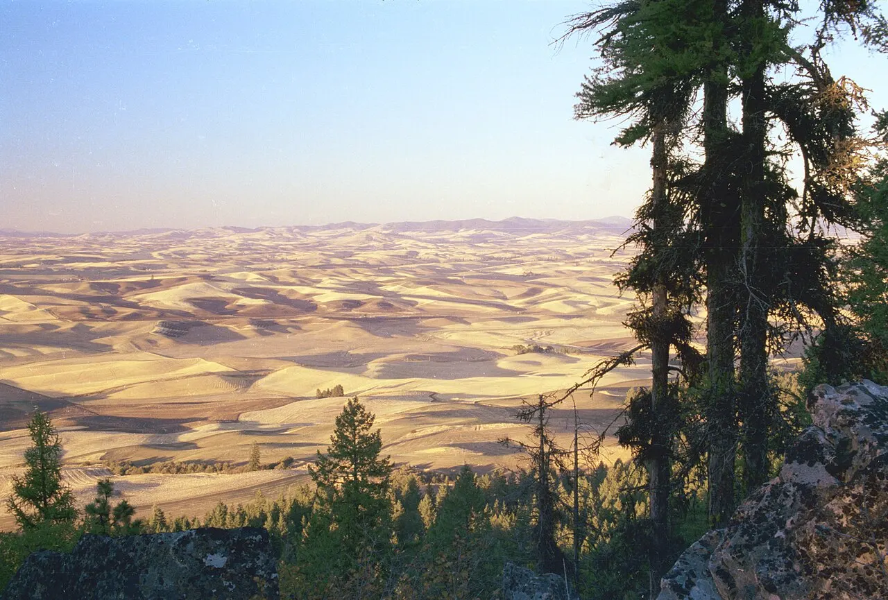 Kamiak Butte County Park, Pullman, Washington, United States