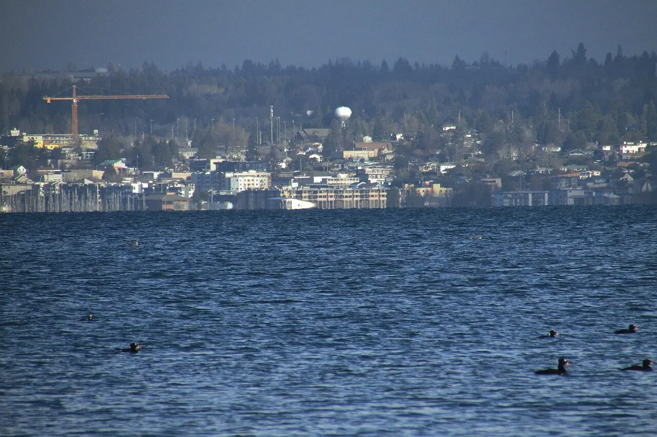 Des Moines Marina, Des Moines, Washington, United States